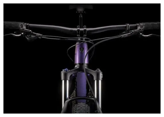 Trek Roscoe 6 27,5+ Hardtail MTB Shimano Deore 10S Purple Flip / Trek Black 2023